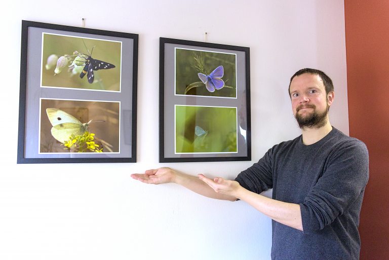Dr. René Kanzler butterfly