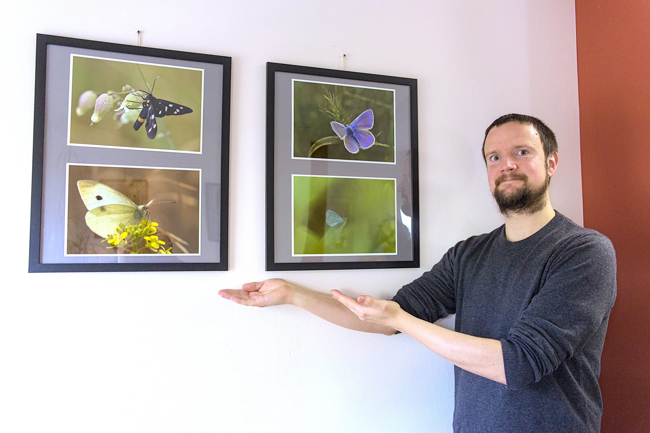 Dr. René Kanzler butterfly